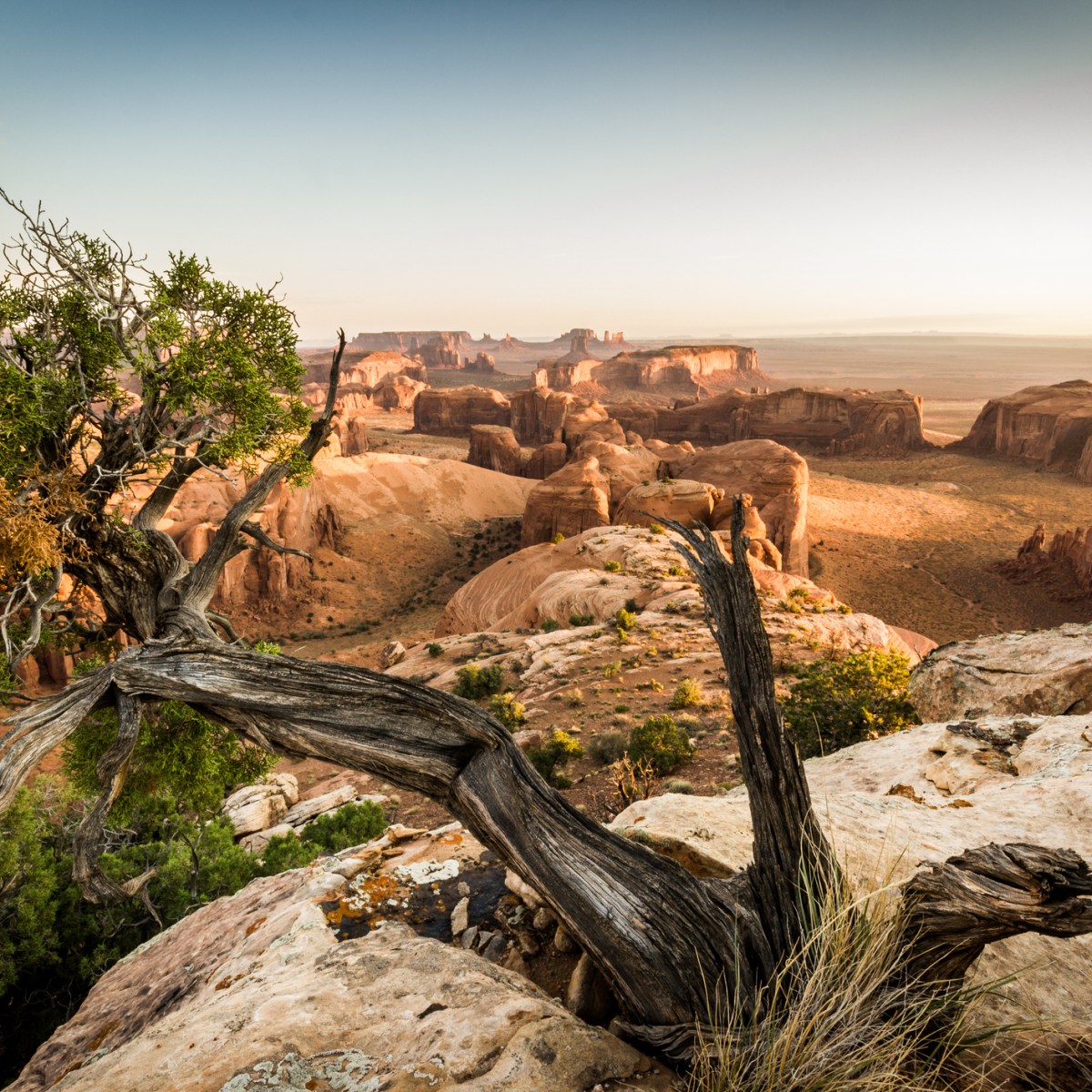a close up of a canyon